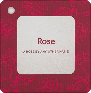 Essential Oil Wellness Cards