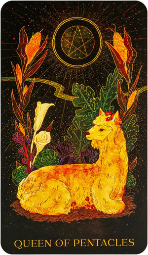 Orien's Animal Tarot: 78 card deck and 144 page book