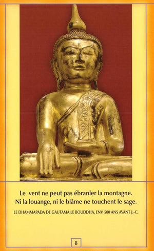 Osho Bouddha Box
