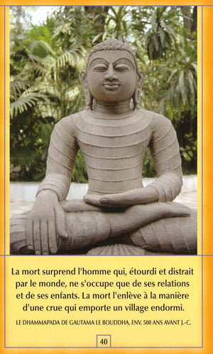 Osho Bouddha Box