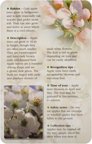 Herbal Recognition Cards