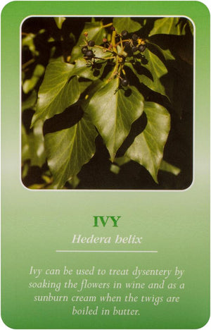 Herbal Recognition Cards