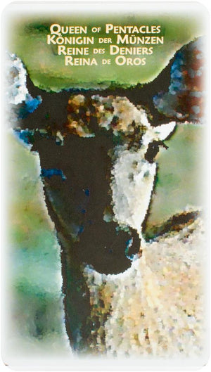 Power Animal Tarot 4-Languages