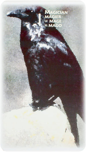 Power Animal Tarot 4-Languages