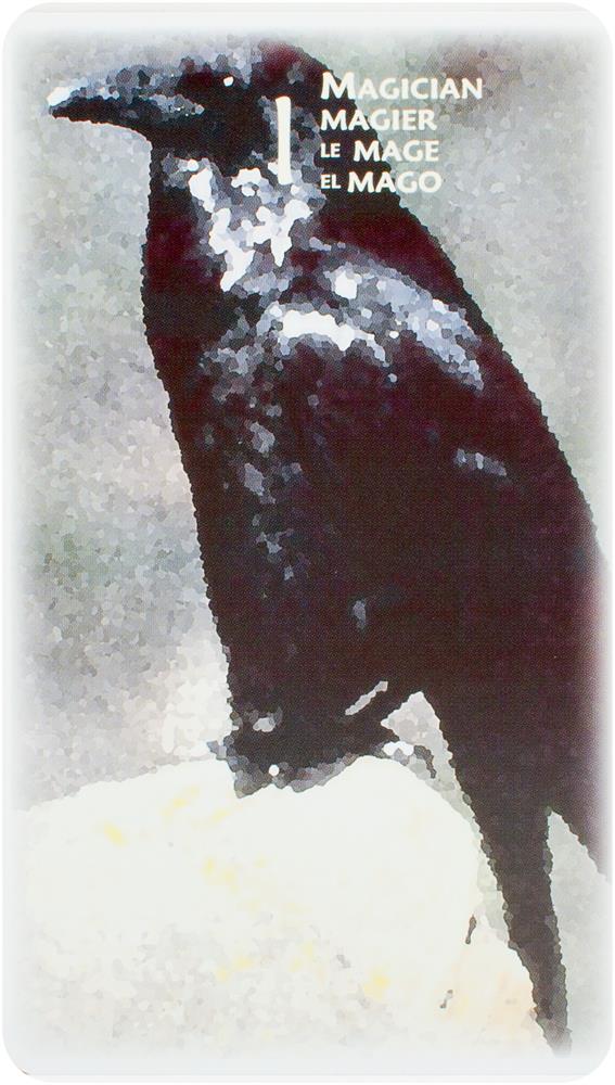 Power Animal Tarot 4-Languages