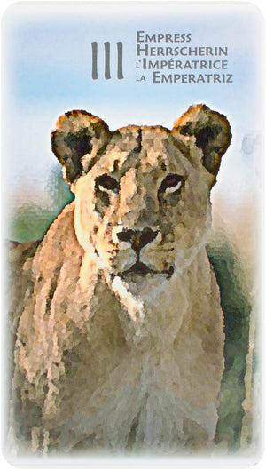 Power Animal Tarot 4-Languages