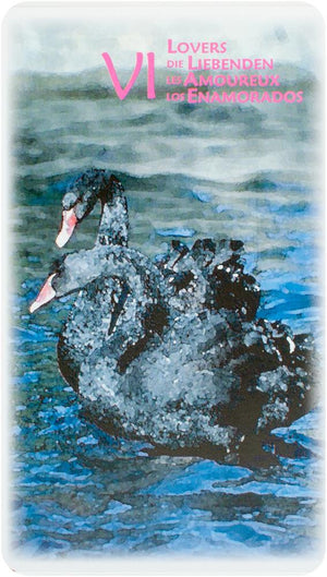Power Animal Tarot 4-Languages