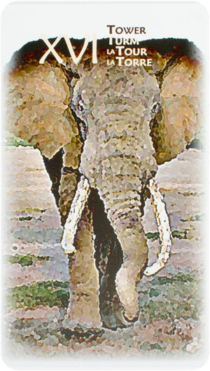 Power Animal Tarot 4-Languages