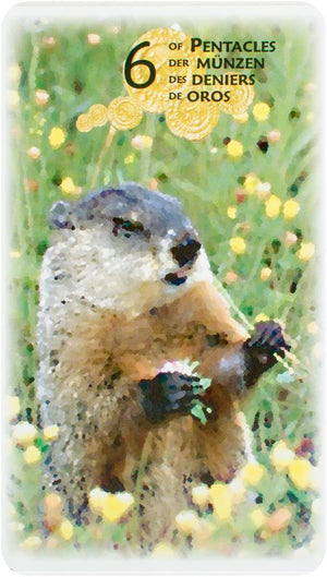 Power Animal Tarot 4-Languages