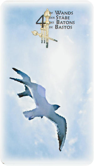 Power Animal Tarot 4-Languages