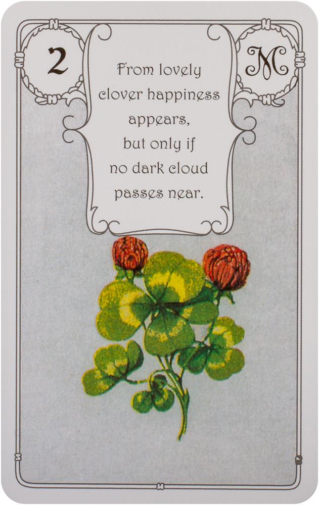 Mlle Lenormand Red Owl