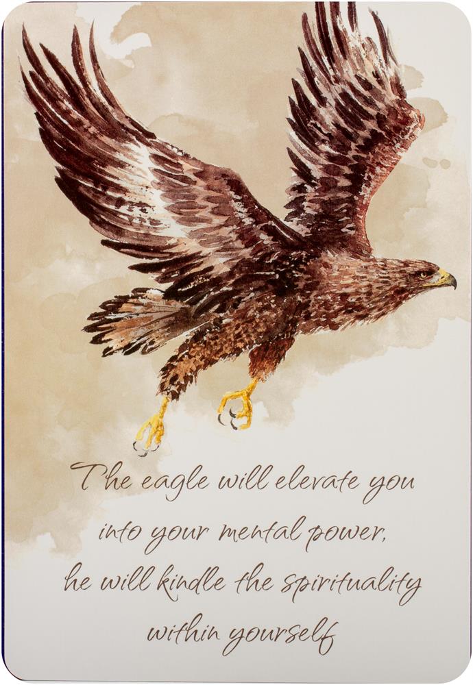 Power Animals Cards