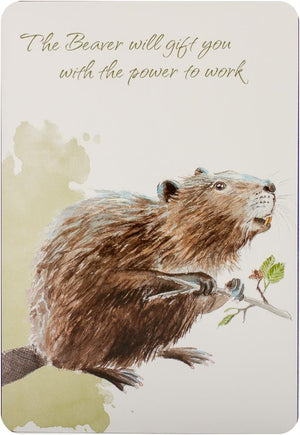 Power Animals Cards