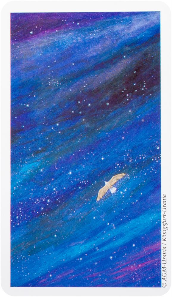 Vision Quest Tarot