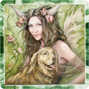 Dream Faeries