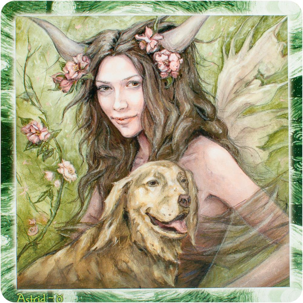 Dream Faeries