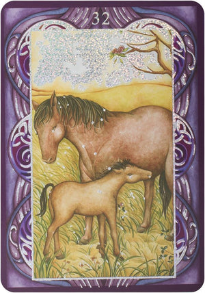 Wiccan Oracle Cards