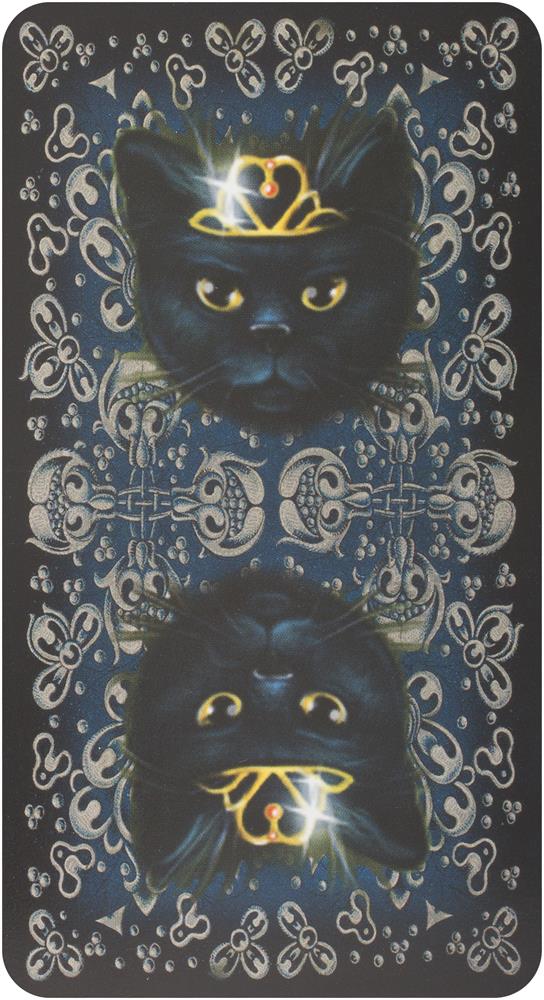 Black Cats Tarot