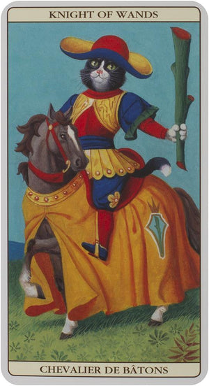 Marseille Cat Tarot