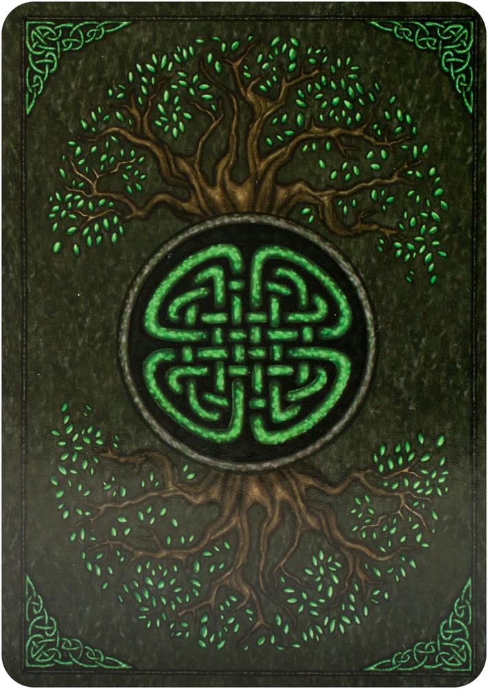 Earth Wisdom Oracle
