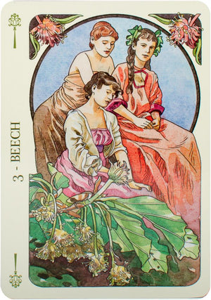 Flowers Oracle