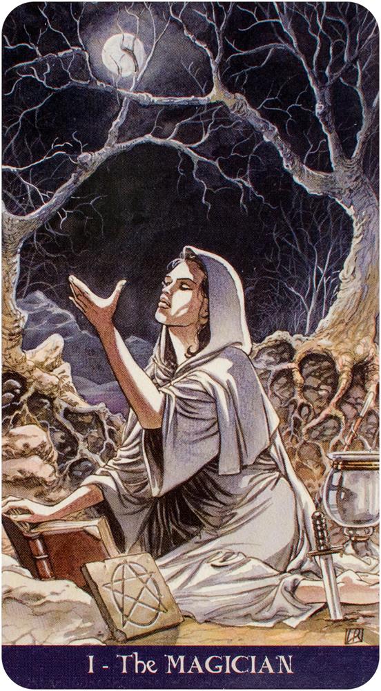 PAGAN TAROT KIT KIT39 New Edition