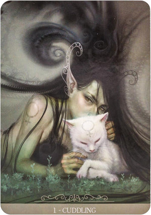 Fantasy Cats Oracle