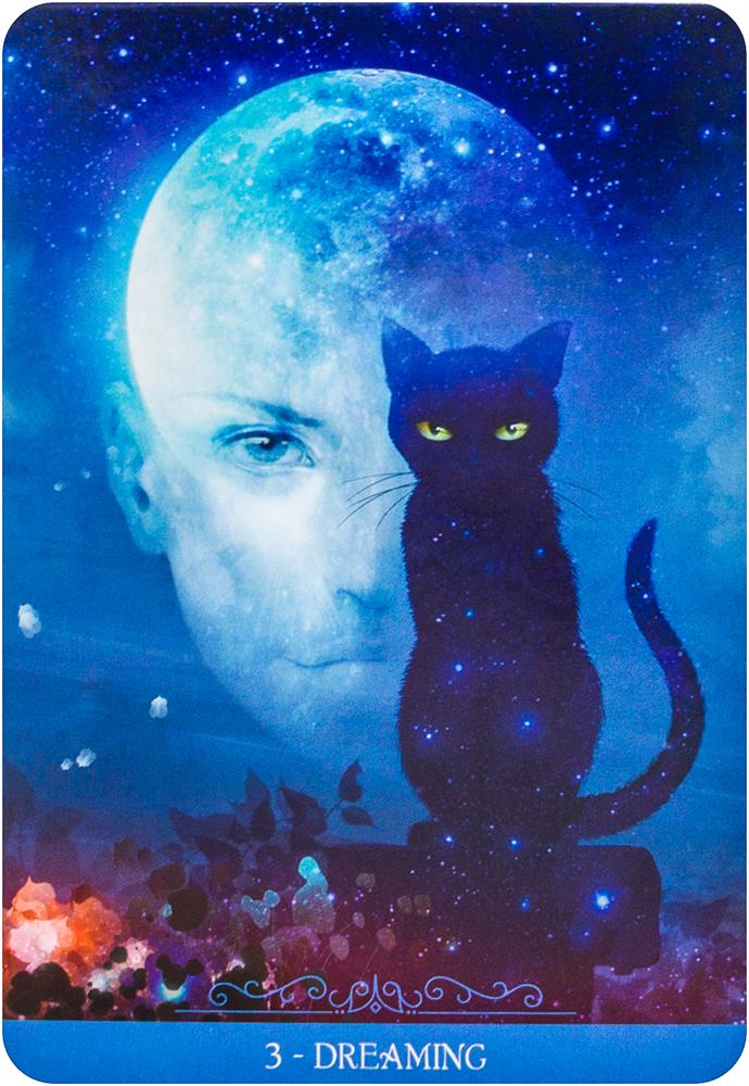 Fantasy Cats Oracle