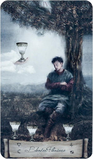 Heaven&Earth Tarot (boxed)