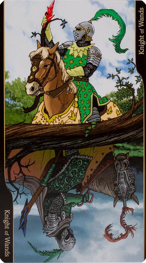 Tarot of Oppositions (boxed)