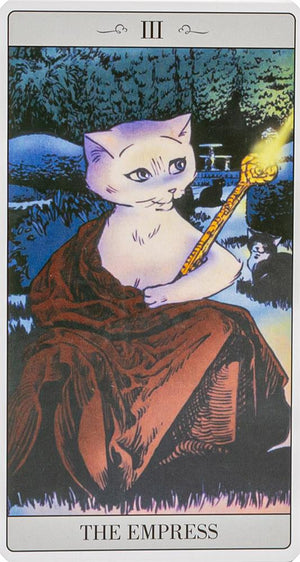 The way Jodorowsky explained Tarot to his Cat