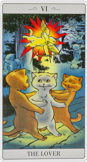 The way Jodorowsky explained Tarot to his Cat