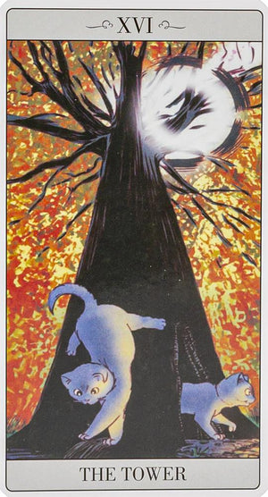 The way Jodorowsky explained Tarot to his Cat