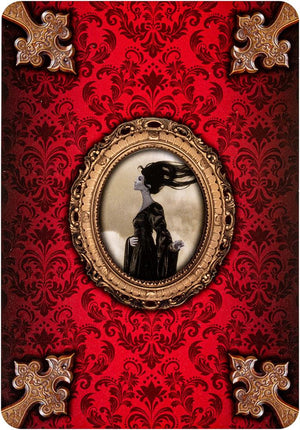 Journey of A Lonely Soul Oracle Cards