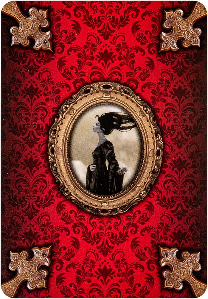 Journey of A Lonely Soul Oracle Cards