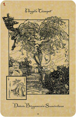 The Magickal Botanical Oracle