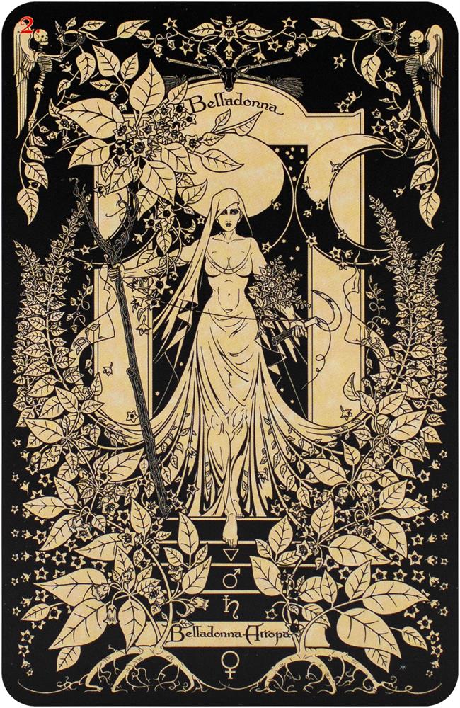 The Magickal Botanical Oracle