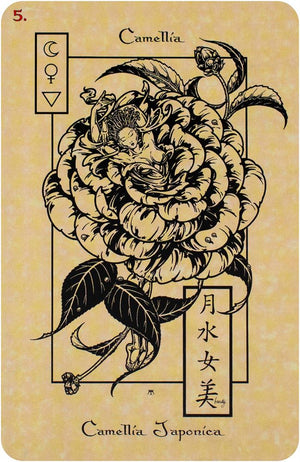 The Magickal Botanical Oracle