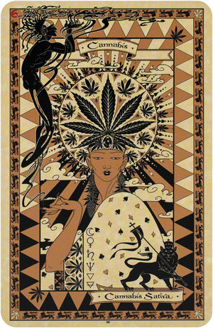 The Magickal Botanical Oracle
