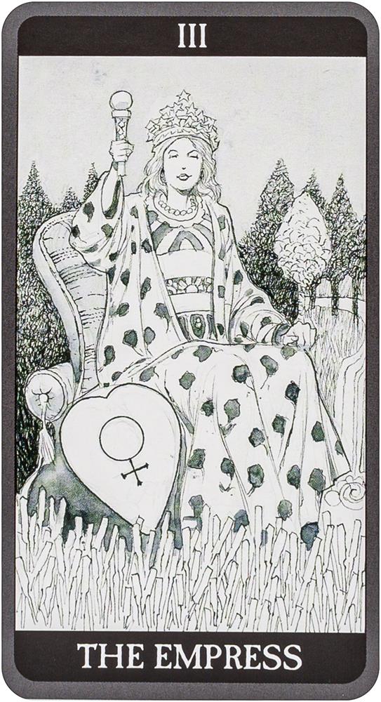 Dark Side of Tarot KIT