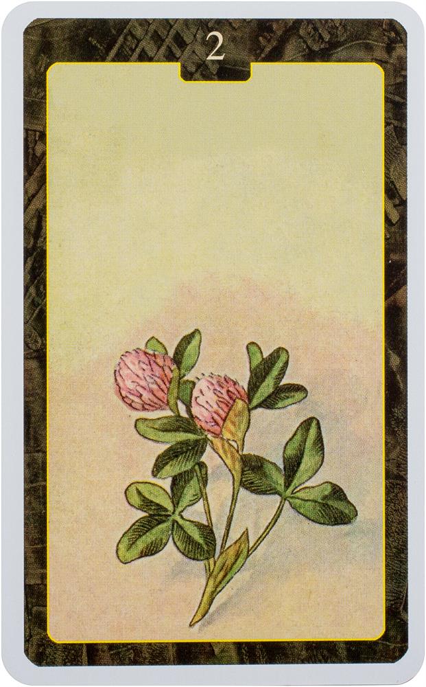 Lenormand Oracle Cards