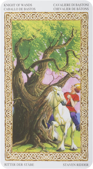 Tarot of the druids