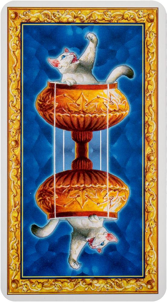 Tarot of White Cats