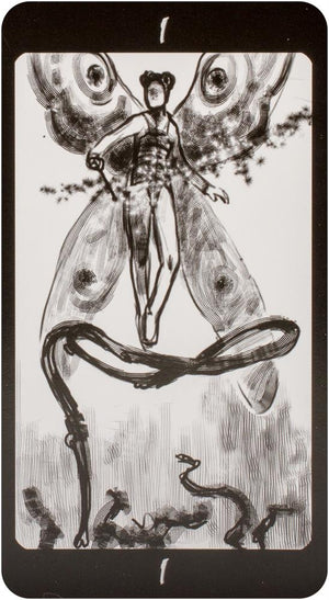 Tarot of the Secret Forest