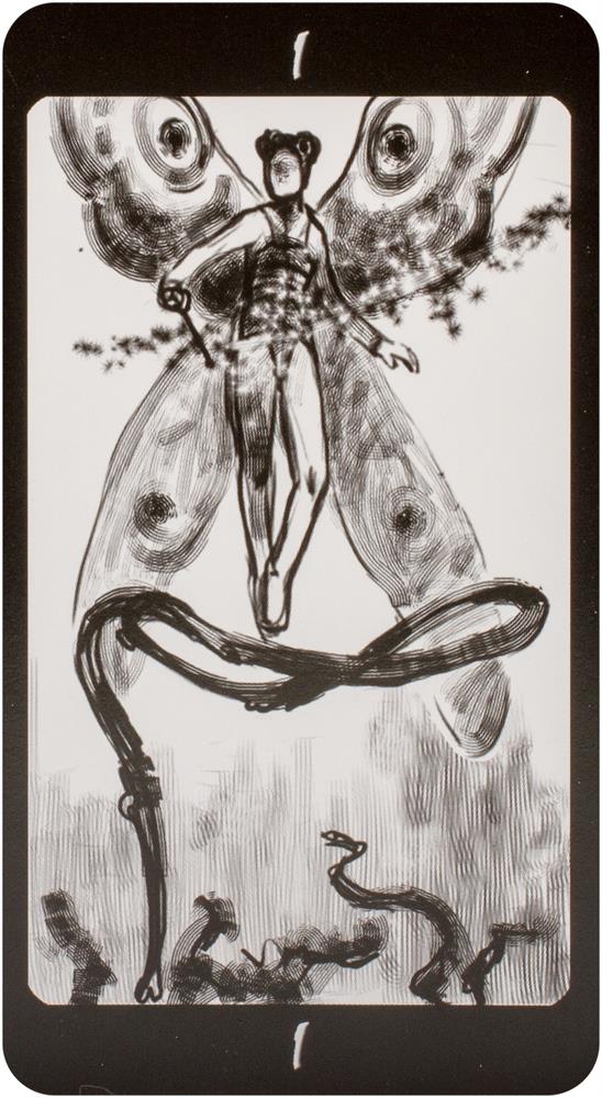Tarot of the Secret Forest