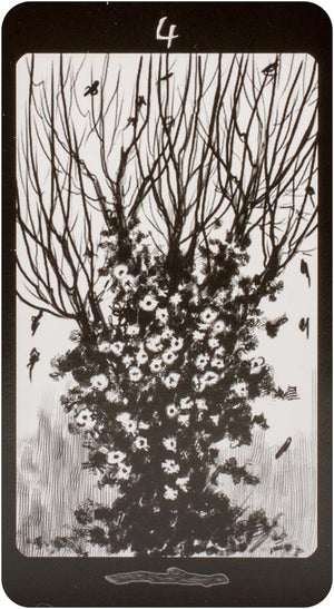 Tarot of the Secret Forest