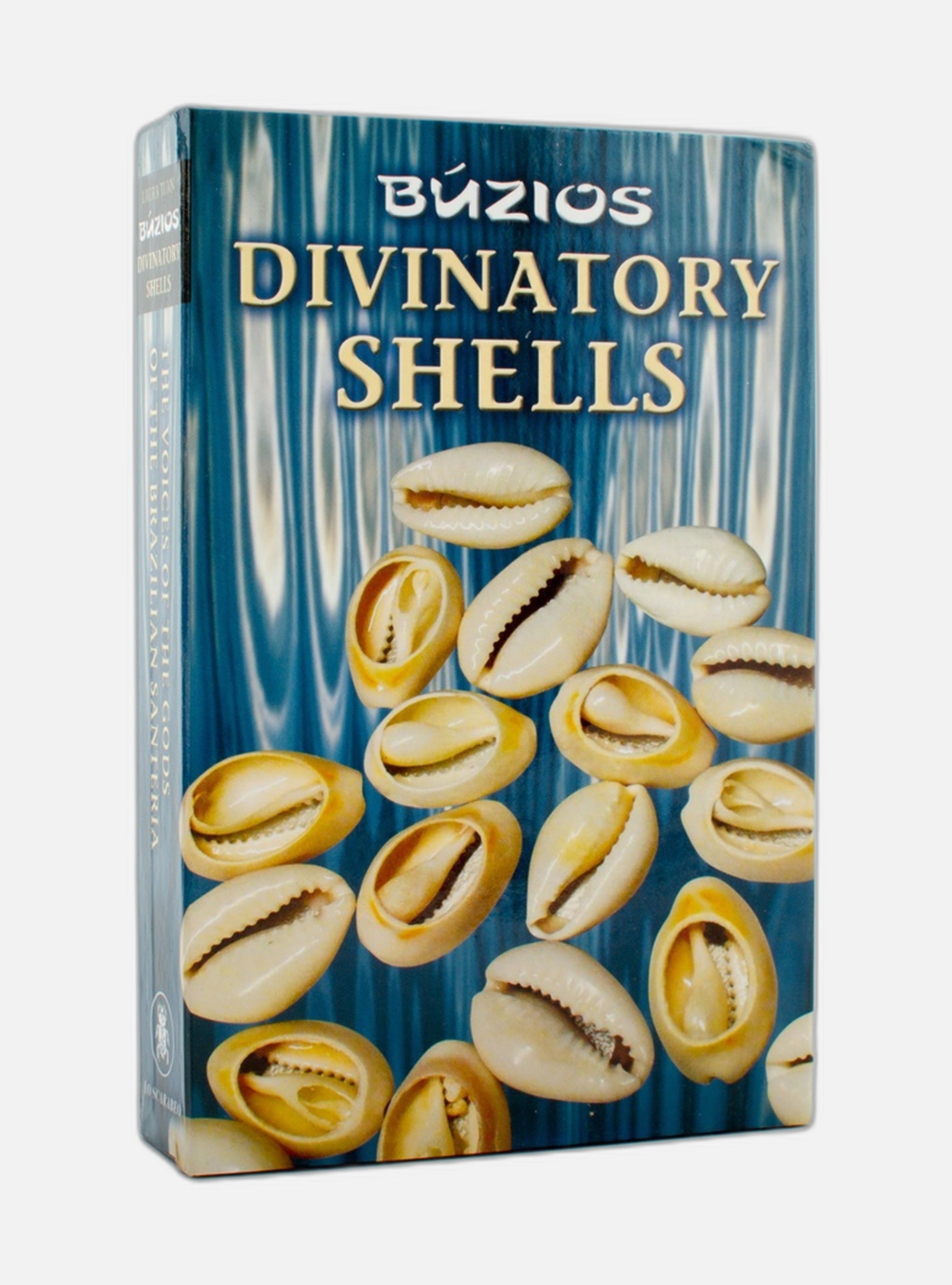 Divination Shells
