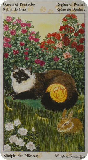Tarot of the pagan cats