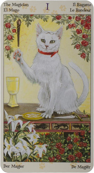 Tarot of the pagan cats