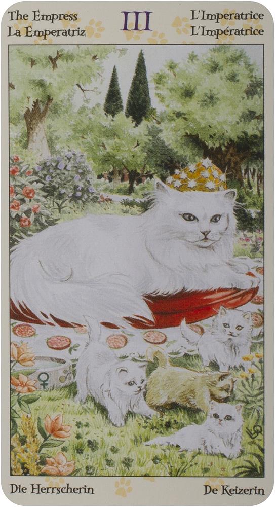 Tarot of the pagan cats